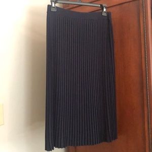 Beautiful pleated skirt. Worn once.